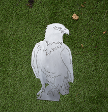 Lade das Bild in den Galerie-Viewer, Adler