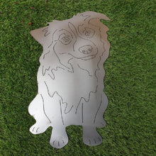 Lade das Bild in den Galerie-Viewer, Australian Shepherd