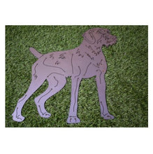 Lade das Bild in den Galerie-Viewer, Deutscher Drahthaar