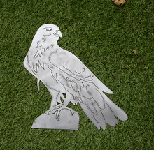 Lade das Bild in den Galerie-Viewer, Falke