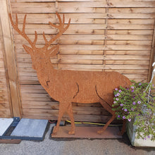 Lade das Bild in den Galerie-Viewer, Hirsch