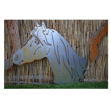 Lade das Bild in den Galerie-Viewer, Pferdekopf Reitpony