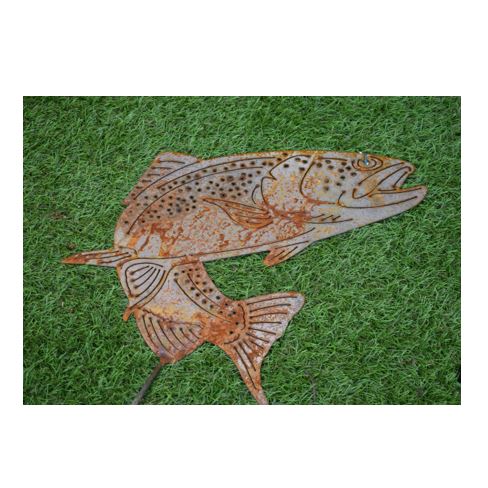 Regenbogenforelle Metalldeko4u