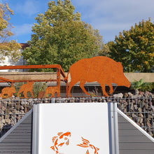 Lade das Bild in den Galerie-Viewer, Wildschwein