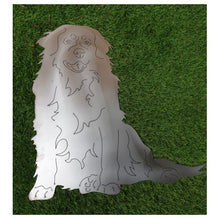 Lade das Bild in den Galerie-Viewer, Schöner sitzender Berner Sennenhund in der Größe 84 x 84,5 cm