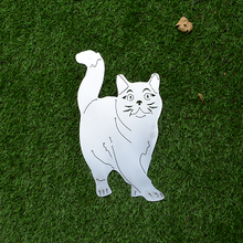 Lade das Bild in den Galerie-Viewer, Britisch Kurzhaar