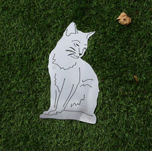 Lade das Bild in den Galerie-Viewer, Hauskatze