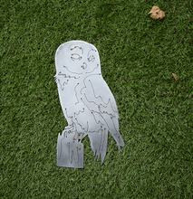 Lade das Bild in den Galerie-Viewer, Waldkauz