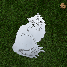 Lade das Bild in den Galerie-Viewer, Perser Katze