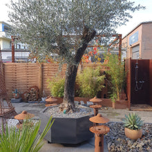 Lade das Bild in den Galerie-Viewer, Blumenkübel achteckig für ein olivenbaum sehr groß