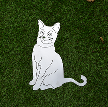 Lade das Bild in den Galerie-Viewer, Siam Katze