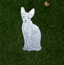 Lade das Bild in den Galerie-Viewer, Sphynx Katze