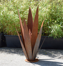 Lade das Bild in den Galerie-Viewer, Yucca Kaktus