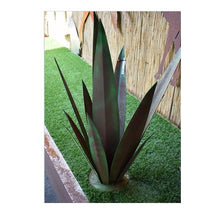 Lade das Bild in den Galerie-Viewer, Yucca Kaktus