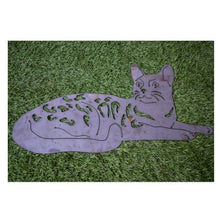 Lade das Bild in den Galerie-Viewer, Bengal Katze mit Flecken
