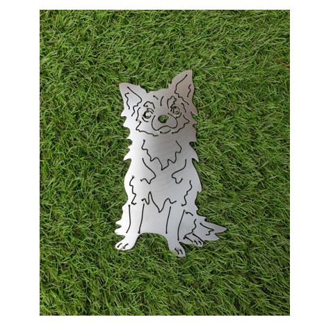 Niedlicher Chihuahua in der Grösse 23 x 15 cm