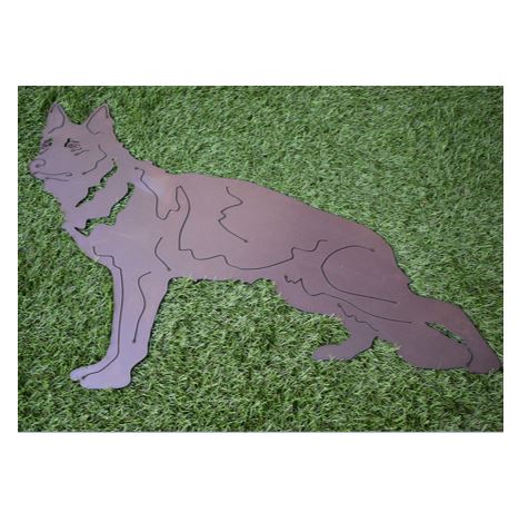 Imposanter Deutscher Schaeferhund in der Grösse 79 x 69 cm