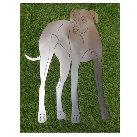Eindrucksvoller Rhodesian Ridgeback in der Größe 45 x 65 cm